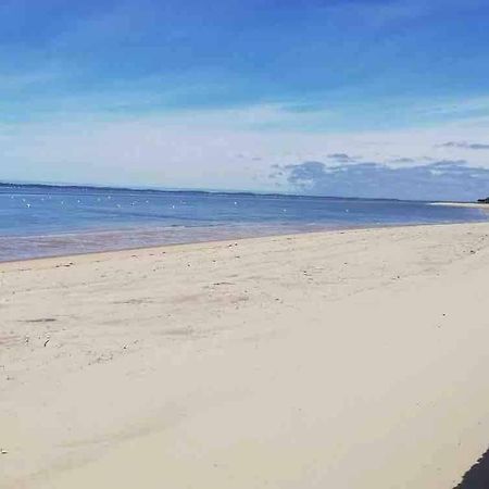 Appart Sur La Plage Pied Dans L Eau Avec Terrasse Jardin Vue Sur Le Bassin Depuis La Terrasse , Parking Arcachon Kültér fotó