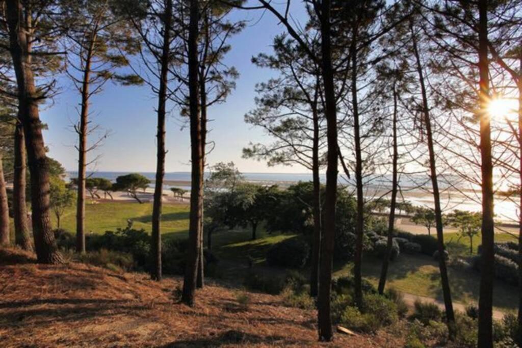Appart Sur La Plage Pied Dans L Eau Avec Terrasse Jardin Vue Sur Le Bassin Depuis La Terrasse , Parking Arcachon Kültér fotó