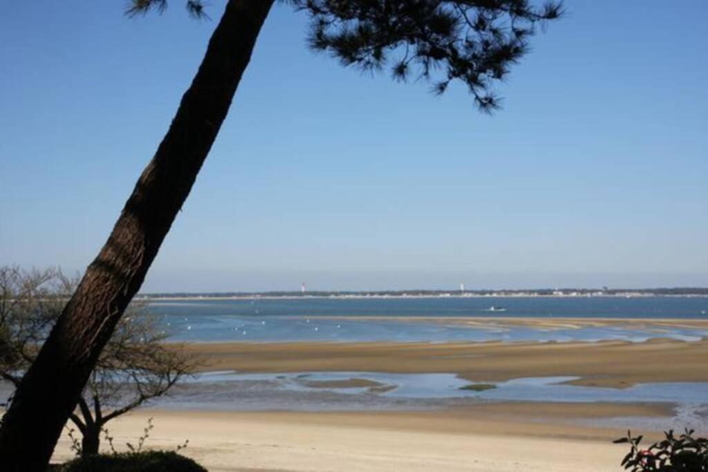 Appart Sur La Plage Pied Dans L Eau Avec Terrasse Jardin Vue Sur Le Bassin Depuis La Terrasse , Parking Arcachon Kültér fotó