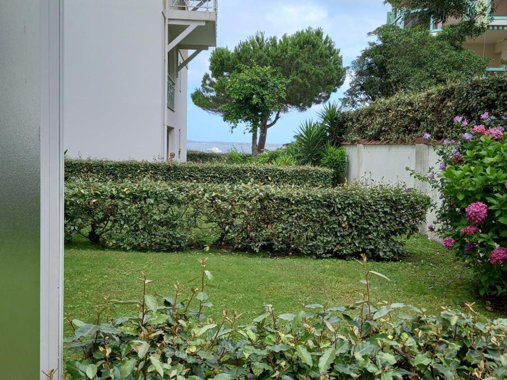 Appart Sur La Plage Pied Dans L Eau Avec Terrasse Jardin Vue Sur Le Bassin Depuis La Terrasse , Parking Arcachon Kültér fotó